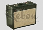 ELectric Guitar Amp