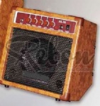 Acoustic Guitar Amp