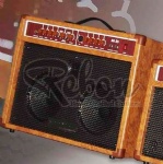 Acoustic Guitar Amp