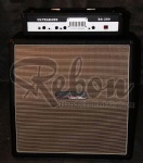 Electric Bass Amp