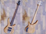 Electric bass guitar