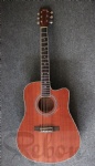 Acoustic guitar