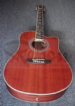 Acoustic guitar