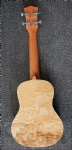23 size all ashwood ukulele