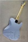 TL electric guitar