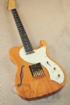 TL electric guitar