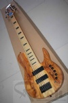 Electric Bass Guitar