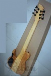 Electric Bass Guitar