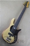 Electric Bass Guitar