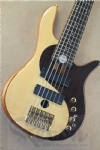 Electric Bass Guitar