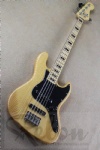 Electric Bass Guitar