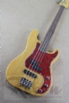 Electric Bass Guitar