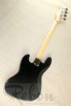 Electric Bass Guitar