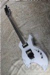 Electric Guitar