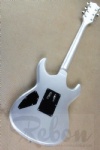 Electric Guitar