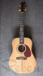 Acoustic Guitar