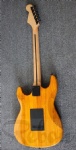 TL guitar