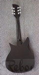 RK guitar