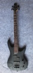 Electric bass guitar