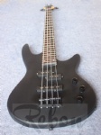 Electric bass guitar