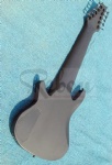 10 String bass