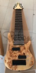 10 String bass