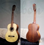 Classical Guitar