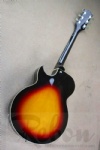 L5 electric guitar