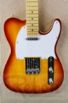 TL electric guitar