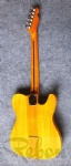 TL electric guitar