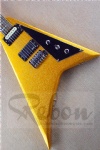 electric guitar