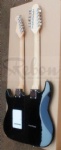 Double Neck electric guitar