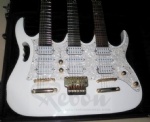 Double Neck electric guitar