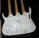Double Neck electric guitar