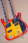 Double Neck electric guitar