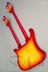 Double Neck electric guitar