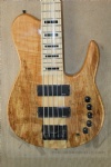 Electric Bass Guitar