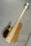 Electric Bass Guitar