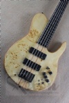 Electric Bass Guitar