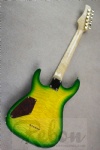 Electric Guitar