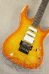 Electric Guitar