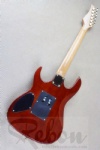 Electric Guitar