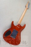 Electric Guitar