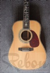 Acoustic Guitar