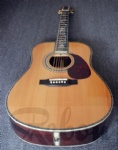 Acoustic Guitar