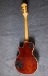 Lp guitar