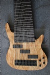 15 String bass